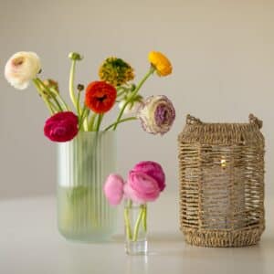 Lanterne søgræs 14 X 21 cm